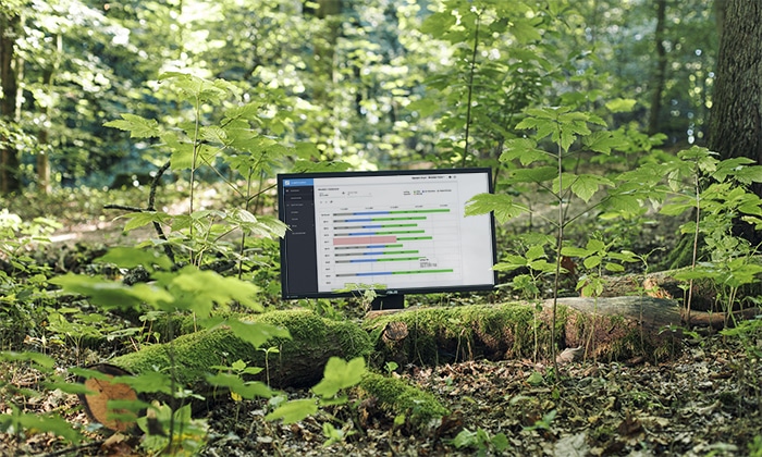 Monitor im Wald mit Diagramm