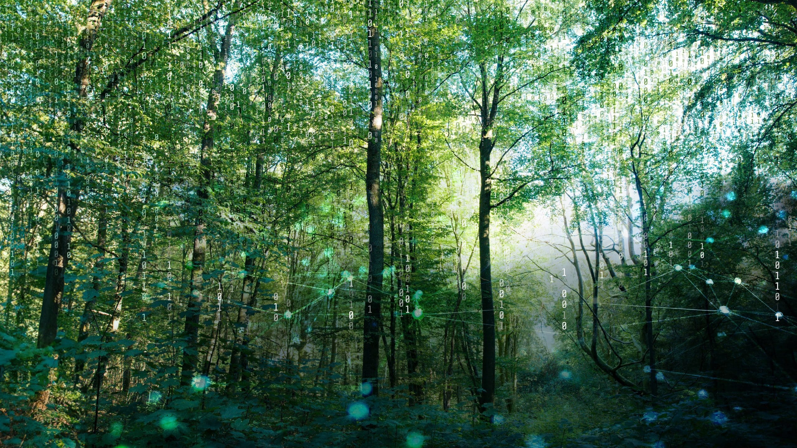 statmath-hero-section-kontakt-full