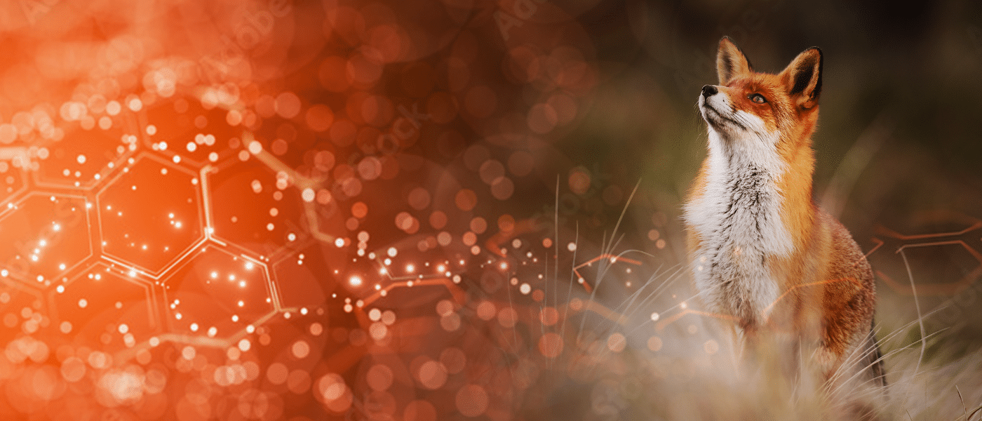 fox_header