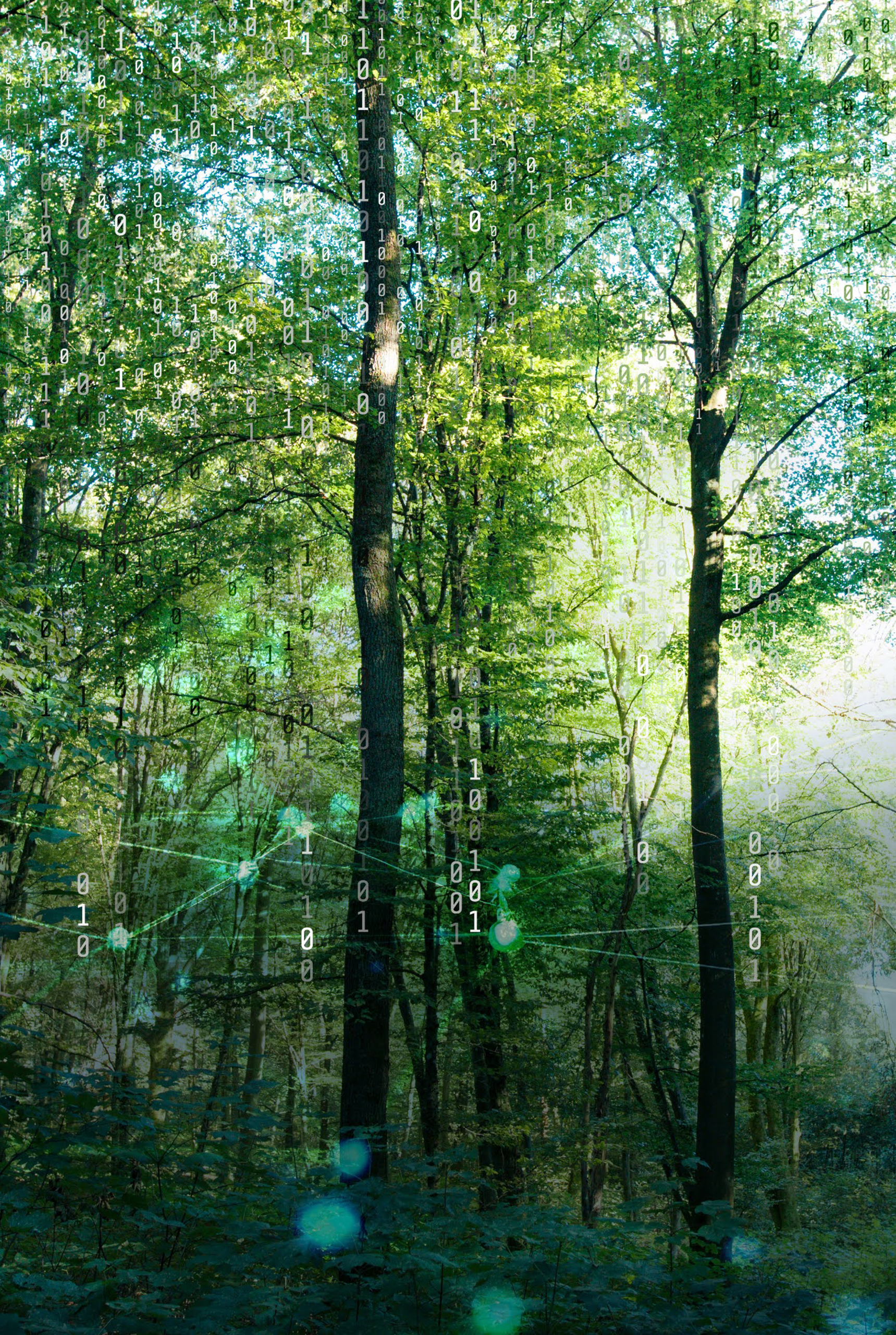 statmath-picto-s_consulting